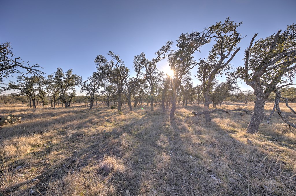 7 Stevens Ranch Road, Unit 7 Harper, TX 78631 - Photo 24 of 31