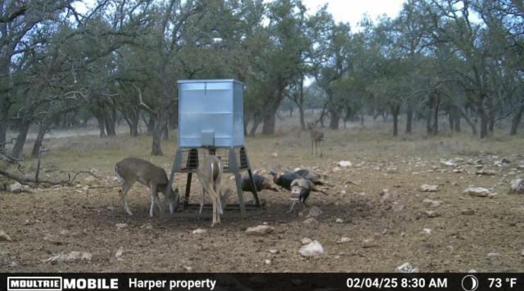 7 Stevens Ranch Road, Unit 7 Harper, TX 78631 - Photo 30 of 31