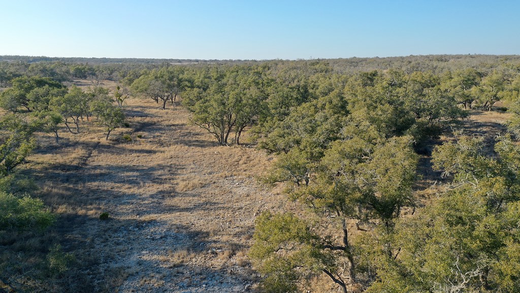 7 Stevens Ranch Road, Unit 7 Harper, TX 78631 - Photo 4 of 31