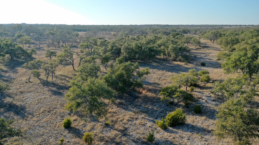 7 Stevens Ranch Road, Unit 7 Harper, TX 78631 - Photo 5 of 31