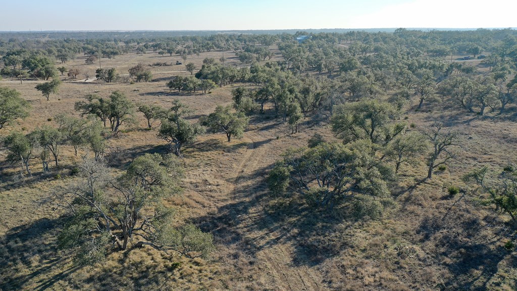 7 Stevens Ranch Road, Unit 7 Harper, TX 78631 - Photo 6 of 31
