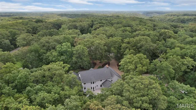 $775,000 | 19 Jacks Cabin Drive, Defiance, MO 63341