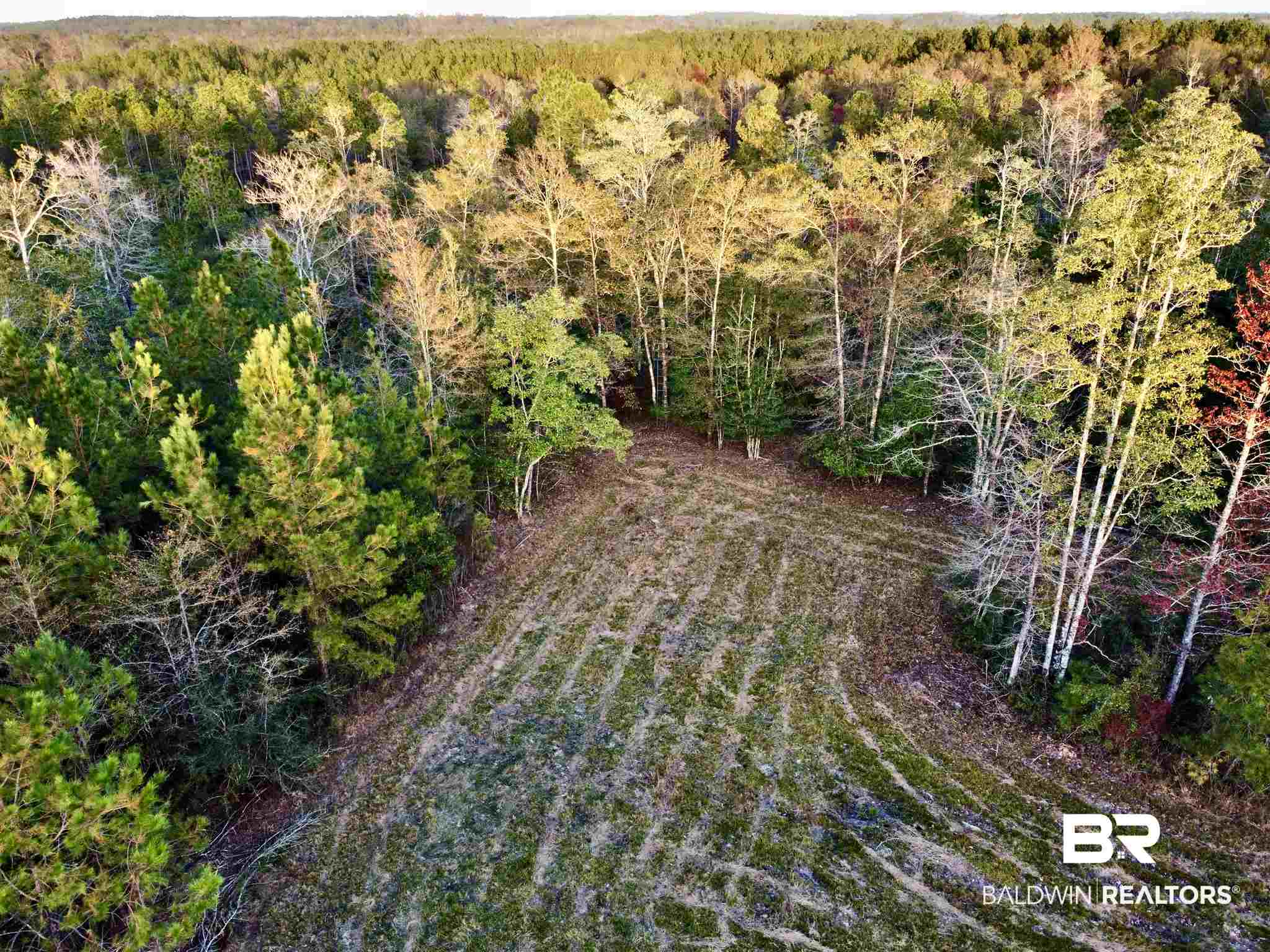 0 Country Road Fruitdale, AL 36539 - Photo 41 of 47