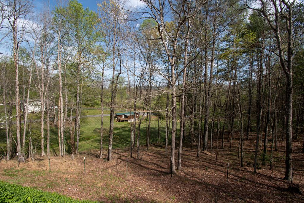 122 Ritz Road Murphy, NC 28906 - Photo 64 of 68 Gallery Image 64