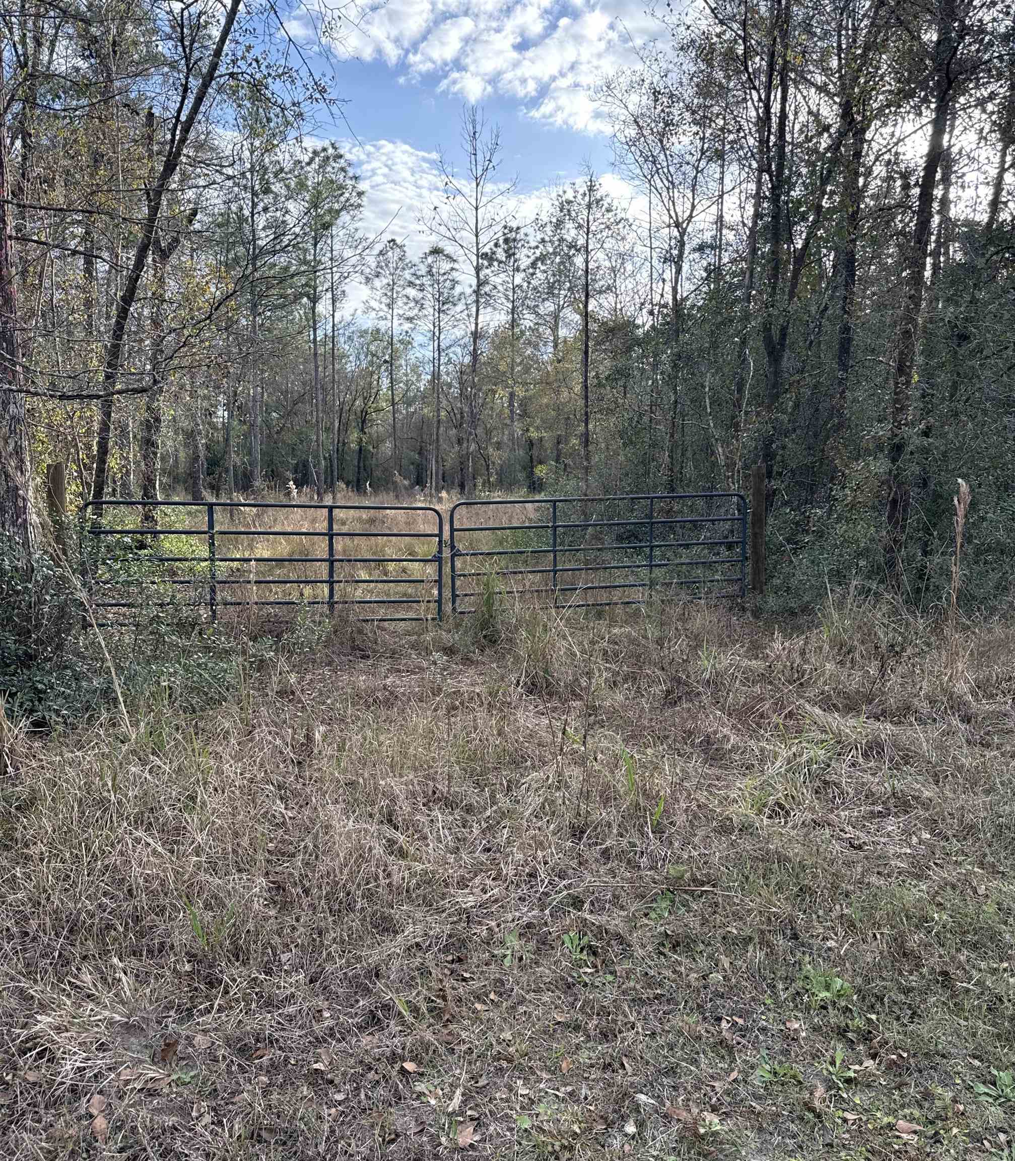 4335 Isaac Street Hastings, FL 32145 - Photo 3 of 3 a backyard of a house with lots of green space