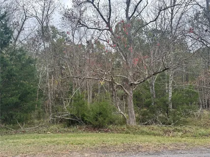 $12,500 | 22 South Frst Cv Loop, Coldspring, TX 77331
