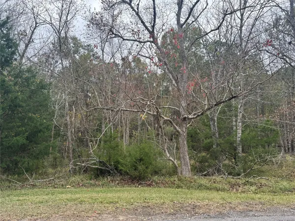 $12,500 | 22 South Frst Cv Loop, Coldspring, TX 77331