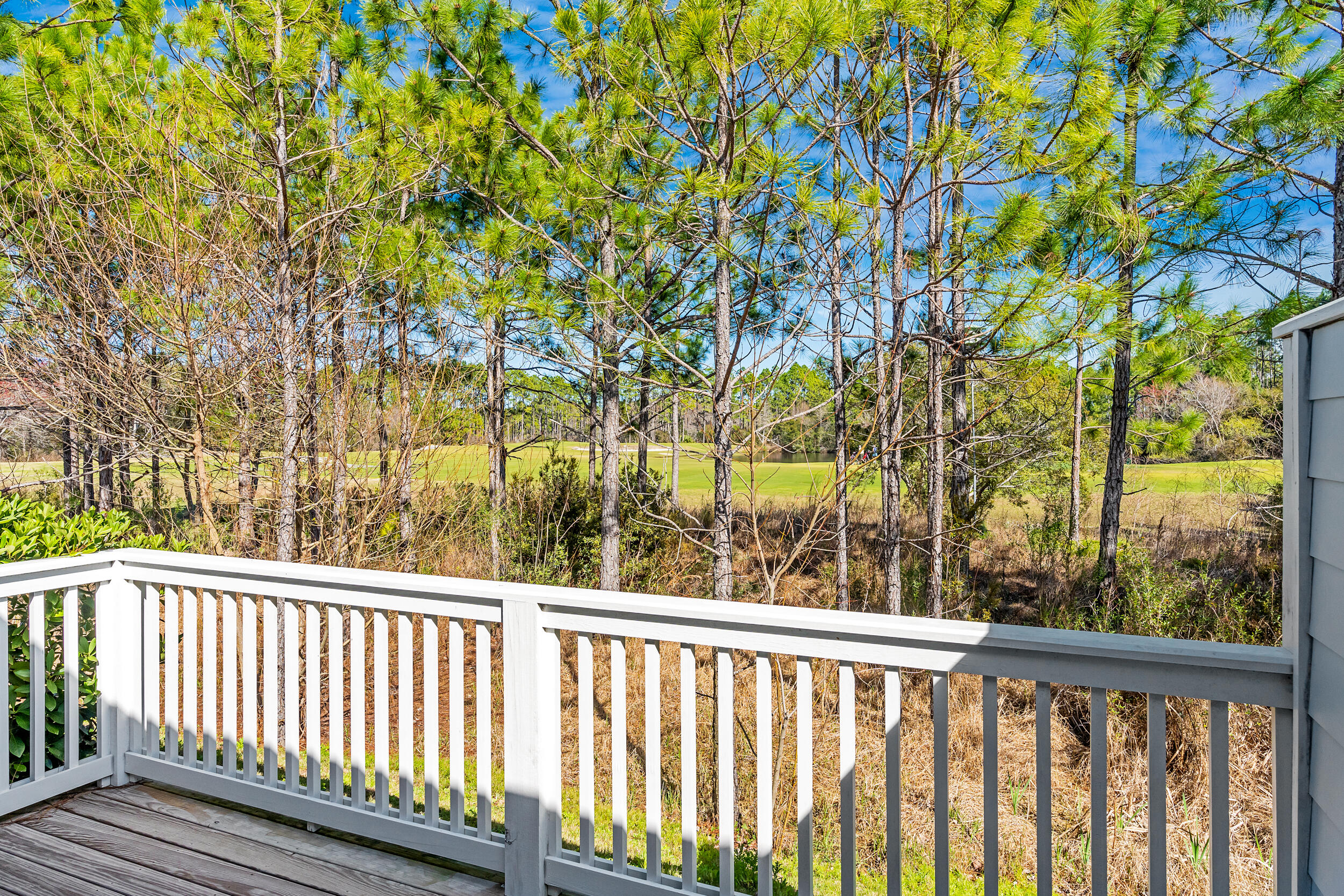 45 Golden Bell Court, Unit 45B Inlet Beach, FL 32461 - Photo 3 of 46 45C