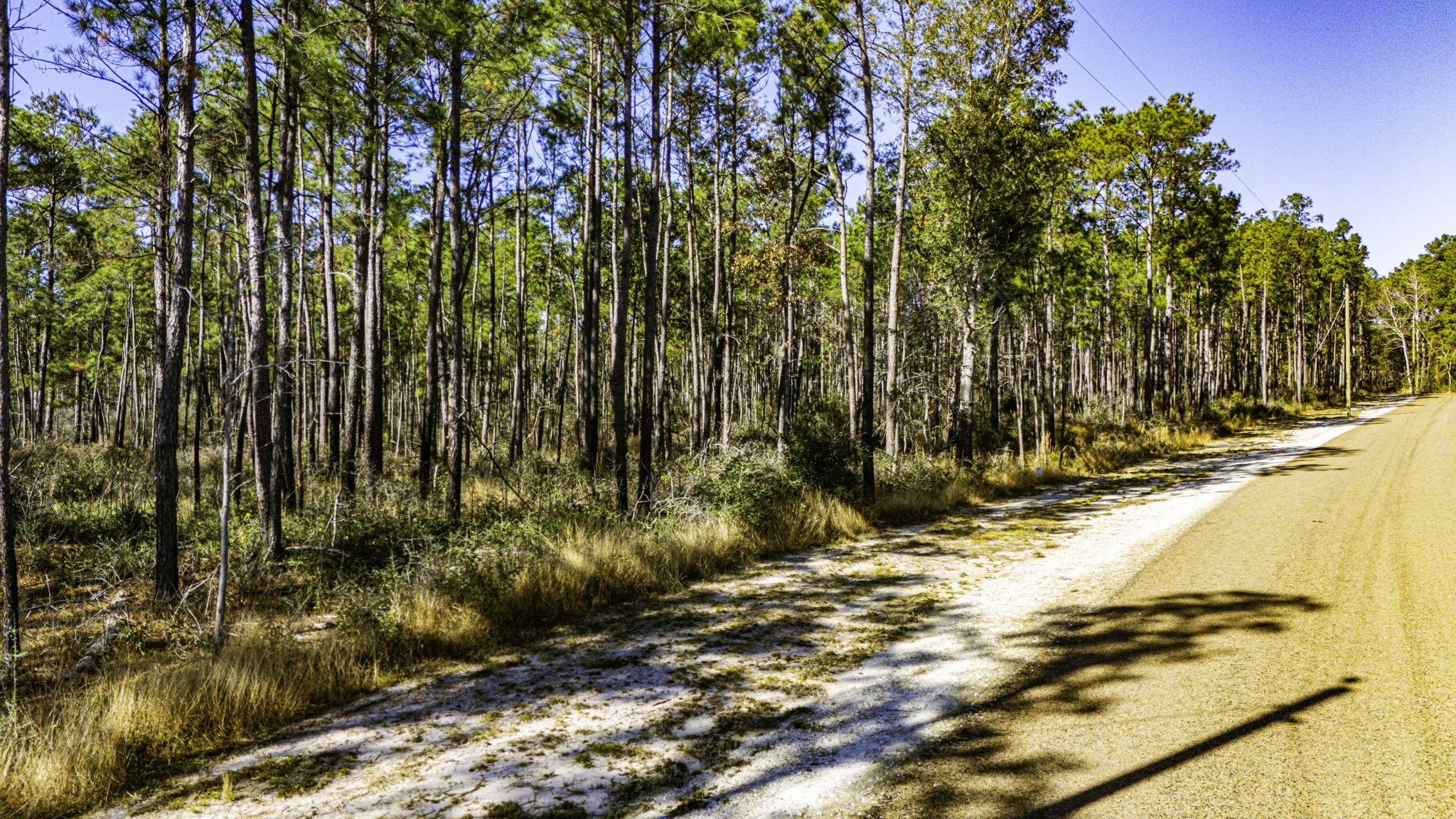 27 King Ranch Road Road Onalaska, TX 77360 - Photo 10 of 14