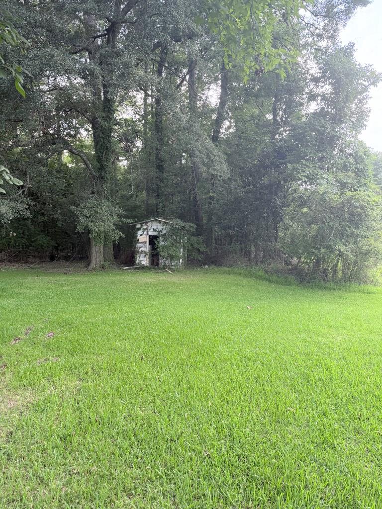 160 Macon Road McIntyre, GA 31054 - Photo 43 of 45 Gallery Image 43