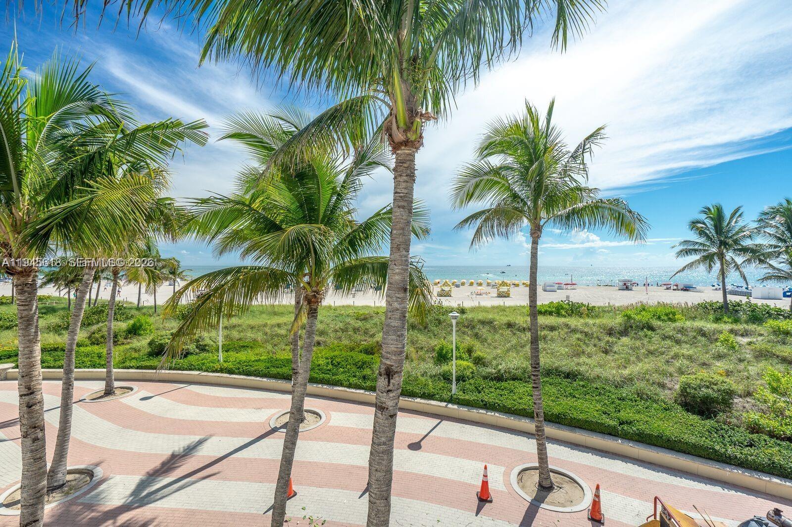 100 Lincoln Road, Unit 503 Miami Beach, FL 33139 - Photo 20 of 25 a view of a backyard and a palm tree