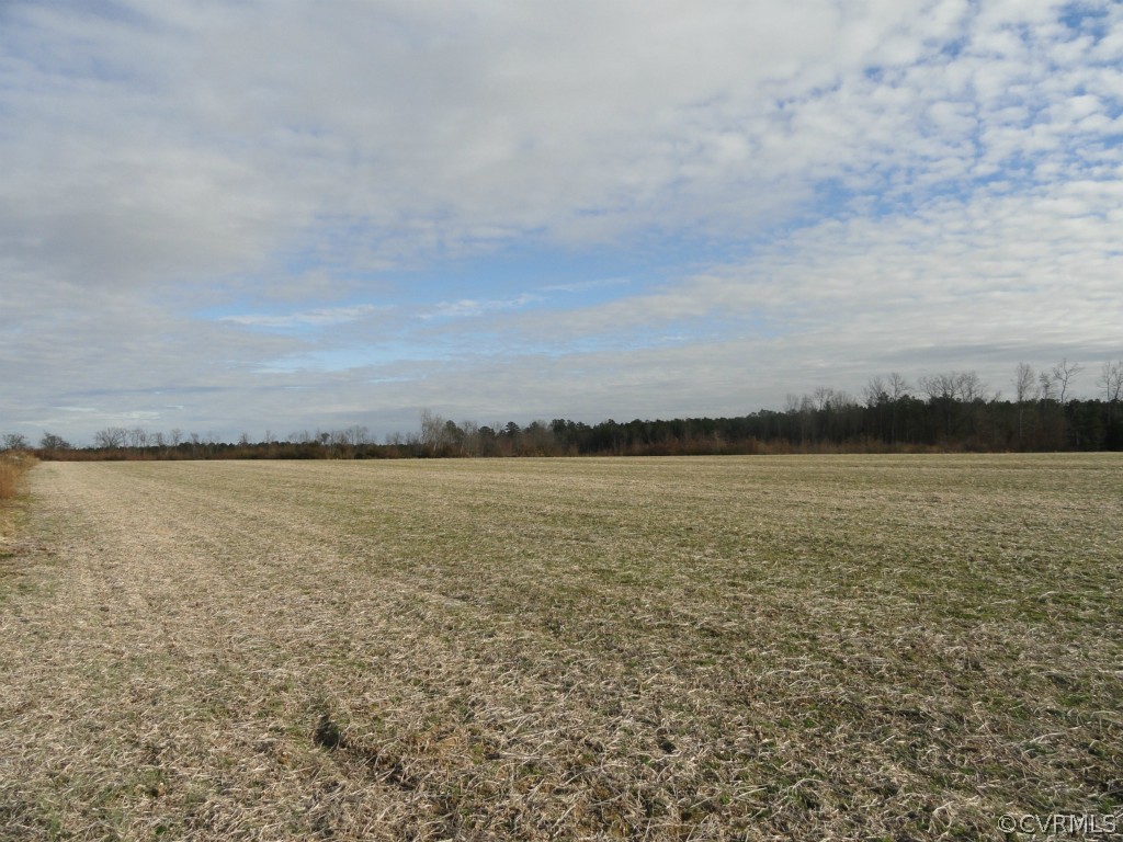 74-10 Sawmill Road Carson, VA 23830 - Photo 2 of 15