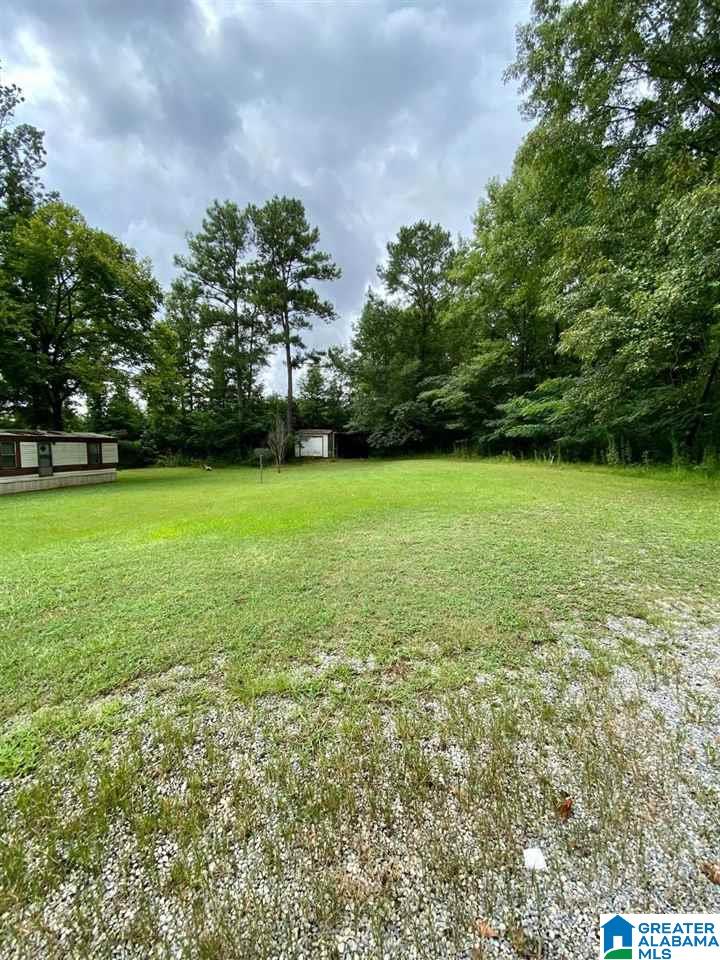 205 Flag Pole Mountain Road Sylacauga, AL 35151 - Photo 2 of 13