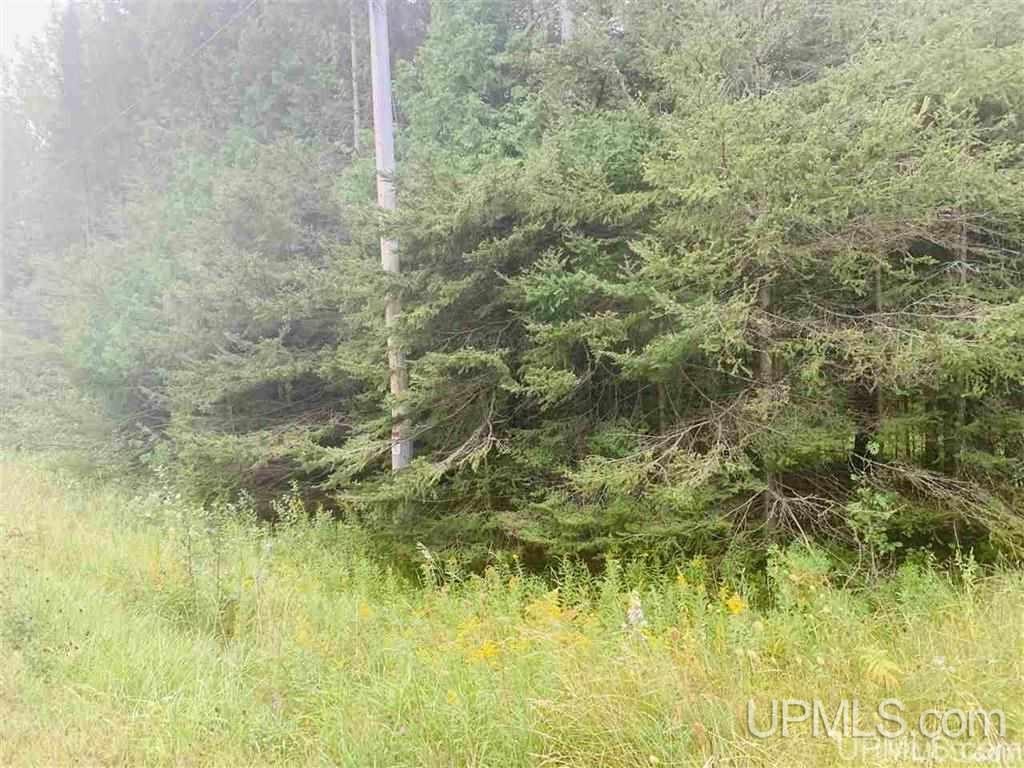 Tbd I Road Escanaba, MI 49829 - Photo 10 of 16