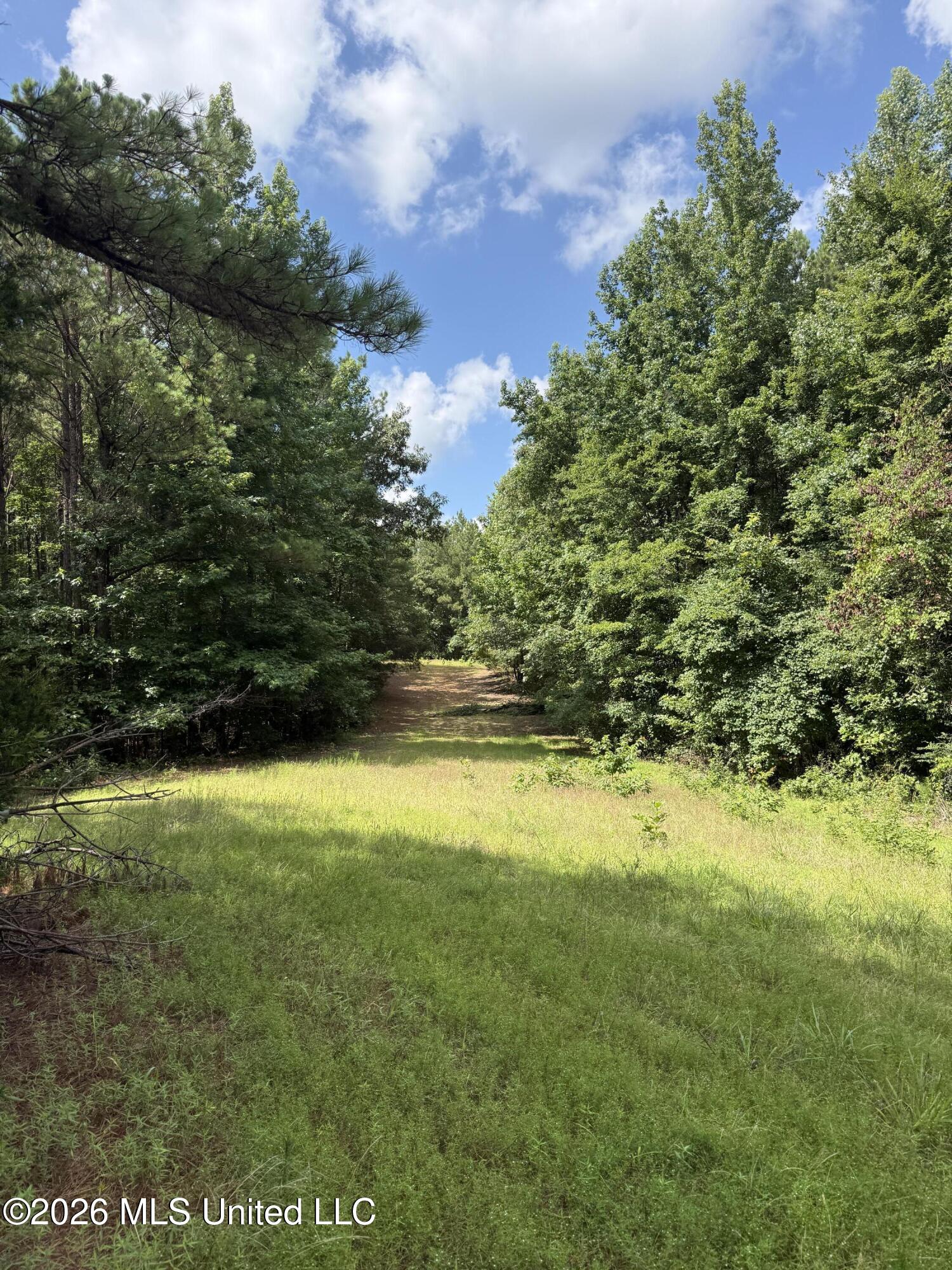 407 Highway Kilmichael Ms 39747 French Camp, MS 39745 - Photo 1 of 26 Cover (1)