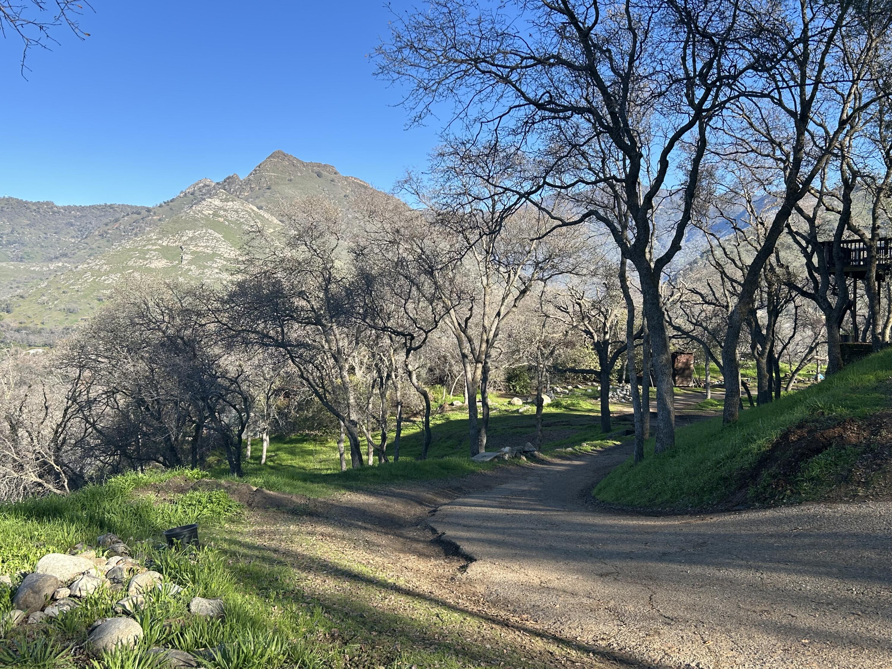 40838 Oak Ridge Drive Three Rivers, CA 93271 - Photo 5 of 51 a view of a park with large trees