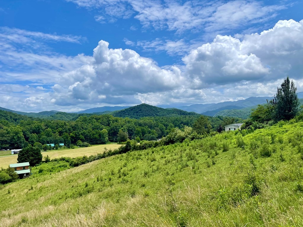 531 Rudd Hollow Road Townsend, TN 37882 - Photo 7 of 25 a view of a bunch of trees in a field
