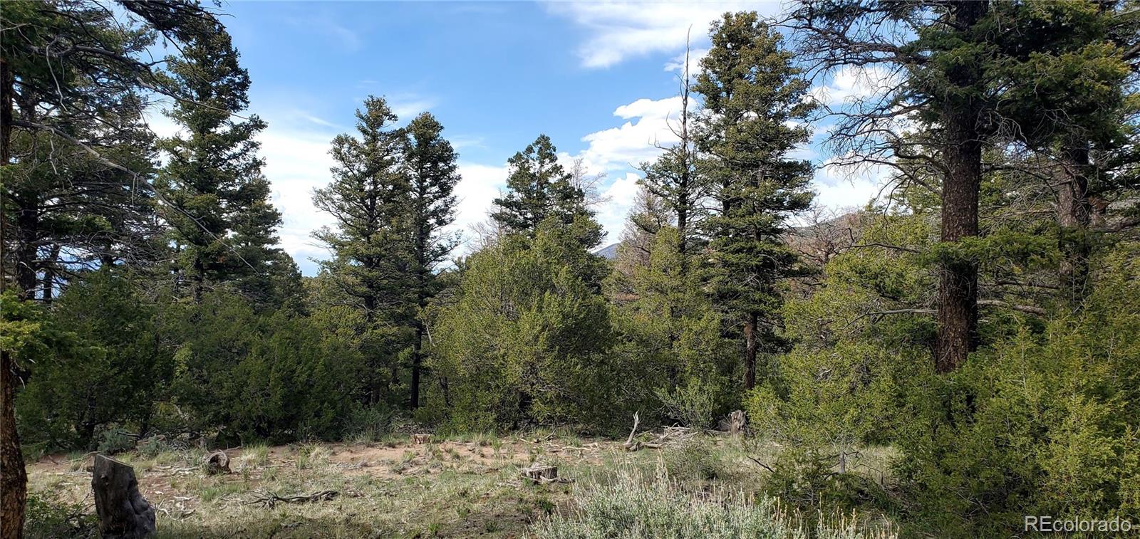 5003 Kermit Road Fort Garland, CO 81133 - Photo 2 of 8 Gallery Image 2