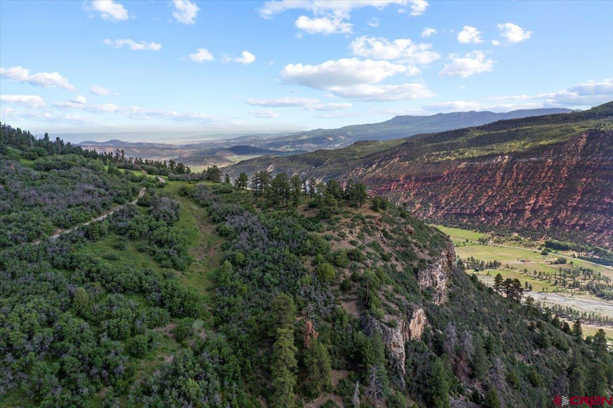 1600-2 Parcels) Elk Ridge Trail, Unit PARK ESTATES LOTS 4 AND 9 Ridgway, CO 81432 - Photo 28 of 39 a view of a yard with mountains in the background