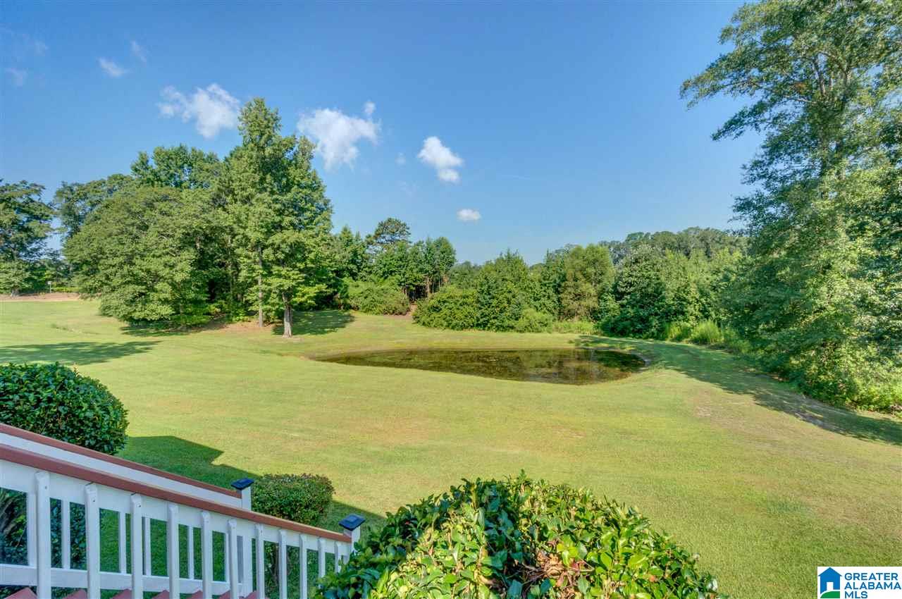 65 County Road 862 Clanton, AL 35045 - Photo 45 of 46