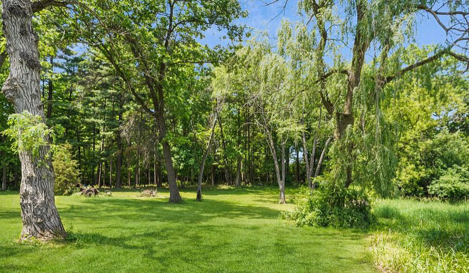 1275 Country Club Road Lake Zurich, IL 60047 - Photo 39 of 49 a view of a backyard with large trees