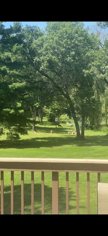 1275 Country Club Road Lake Zurich, IL 60047 - Photo 41 of 49 a view of an ocean from a yard