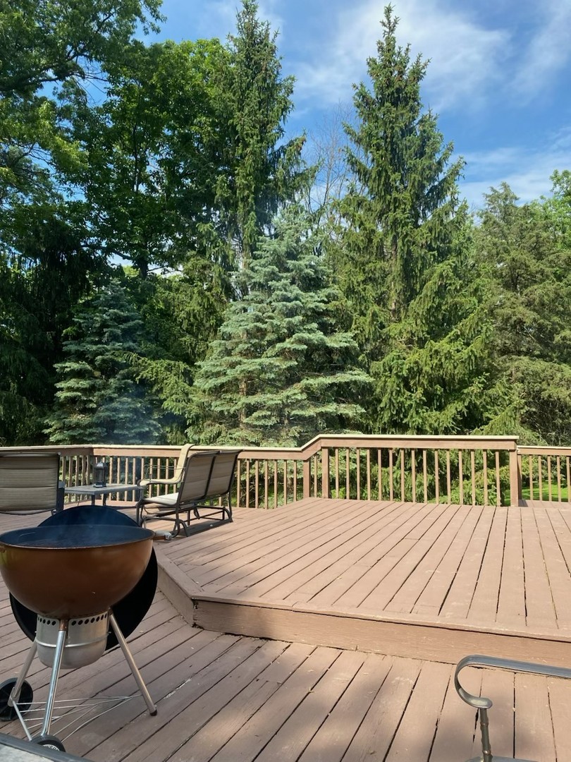 1275 Country Club Road Lake Zurich, IL 60047 - Photo 43 of 49 a view of a back yard on the roof deck
