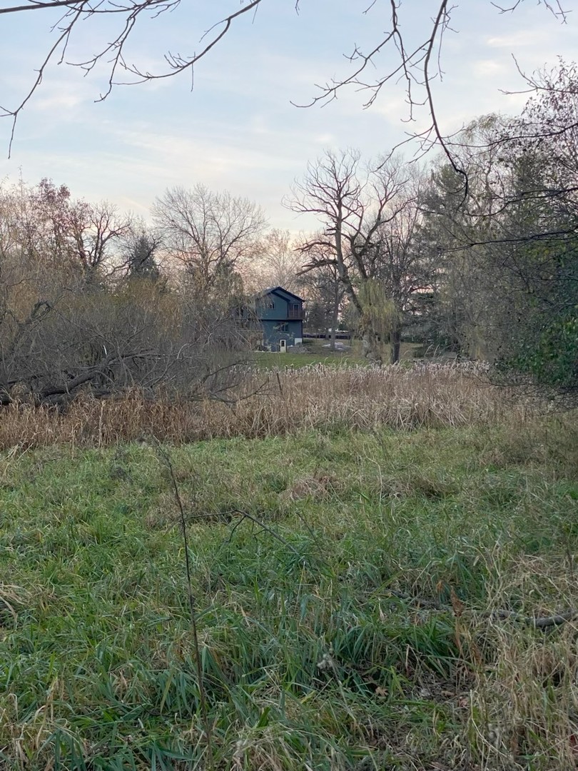 1275 Country Club Road Lake Zurich, IL 60047 - Photo 44 of 49 a view of a yard