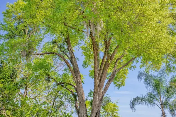 $599,000 | 853 Pine Shadow Drive, Apopka, FL 32712