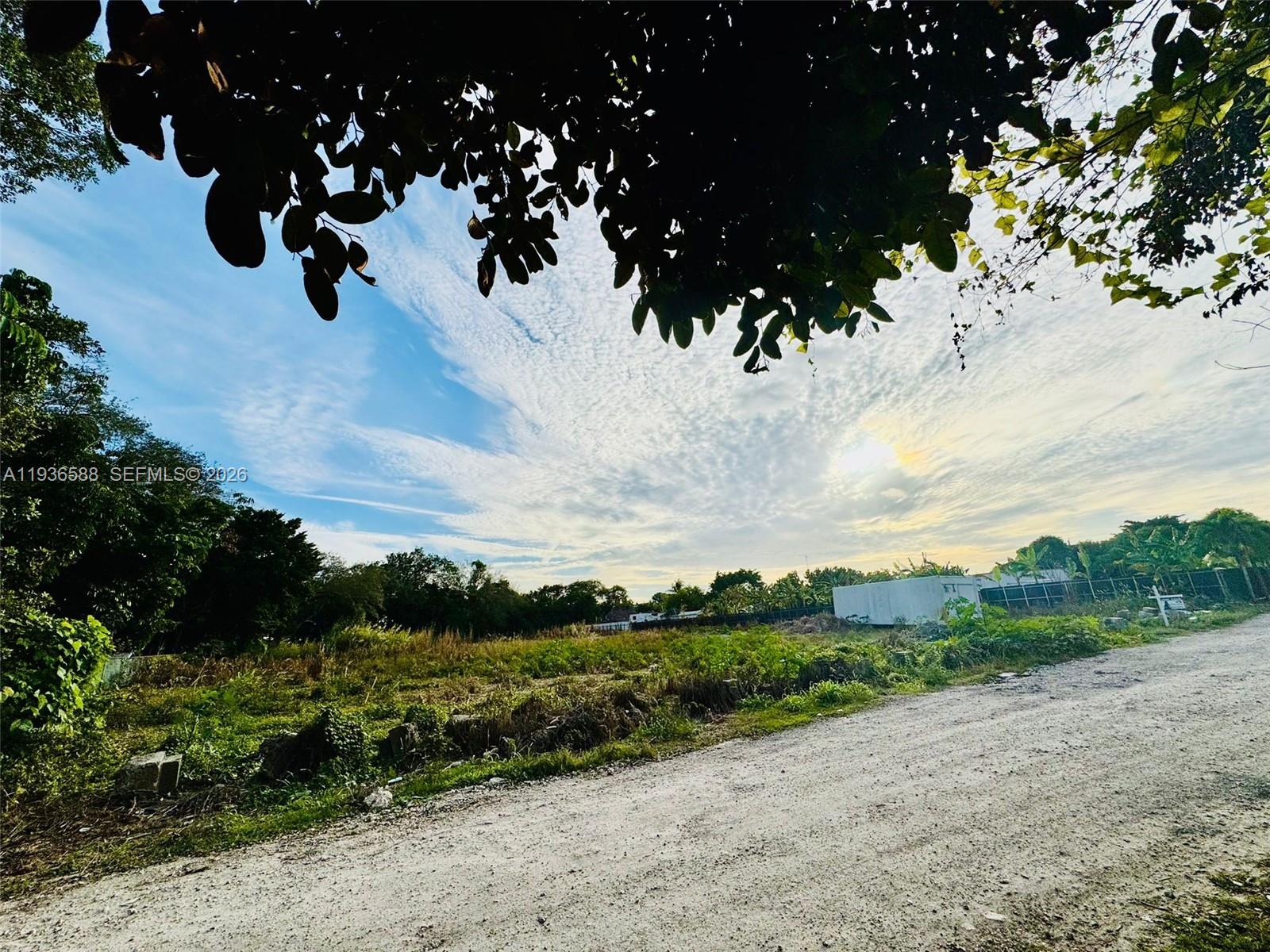 12330 Southwest 240th Street Homestead, FL 33032 - Photo 4 of 5 a view of a bunch of flowers in a yard