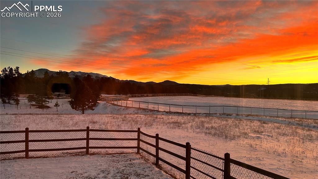 585 Mills Ranch Road Woodland Park, CO 80863 - Photo 17 of 46 View of yard with a mountain view