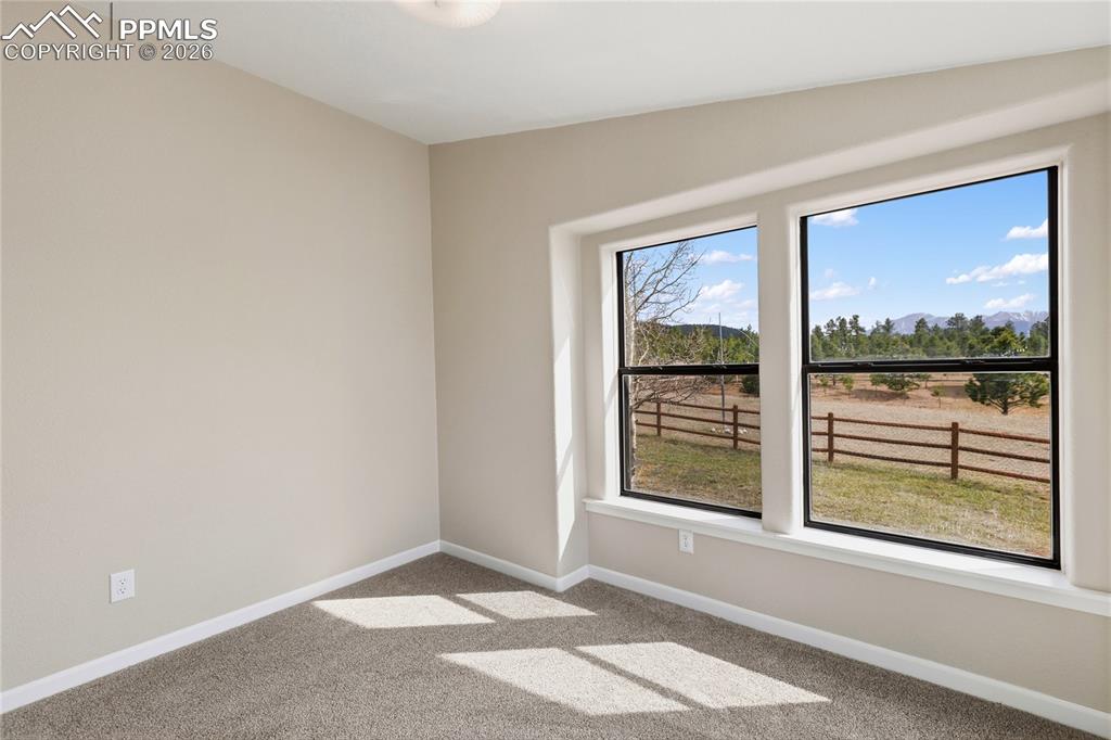 585 Mills Ranch Road Woodland Park, CO 80863 - Photo 35 of 46 2nd Bdrm featuring light carpet