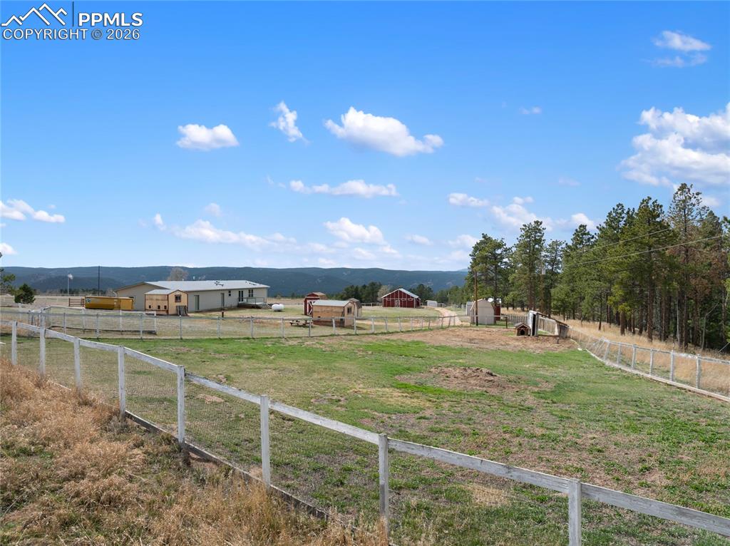 585 Mills Ranch Road Woodland Park, CO 80863 - Photo 7 of 46 View of yard with a rural view and a mountain view