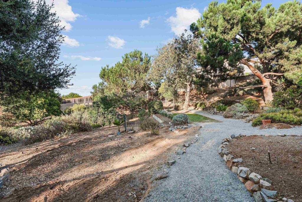 1608 Towell Lane Escondido, CA 92029 - Photo 31 of 35 a view of a dirt road with trees in the background