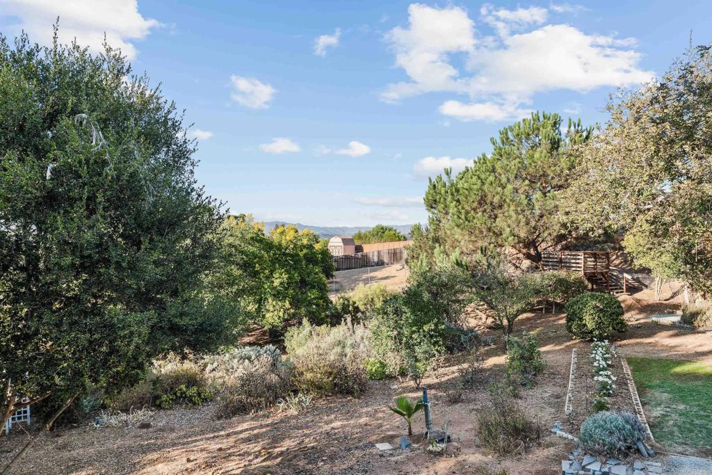 1608 Towell Lane Escondido, CA 92029 - Photo 33 of 35 a view of a bunch of trees