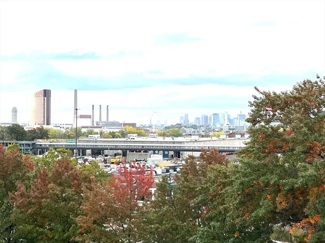 a view of a city with lots of trees