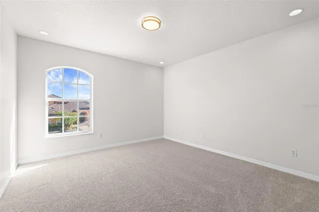 a park with lots of palm trees