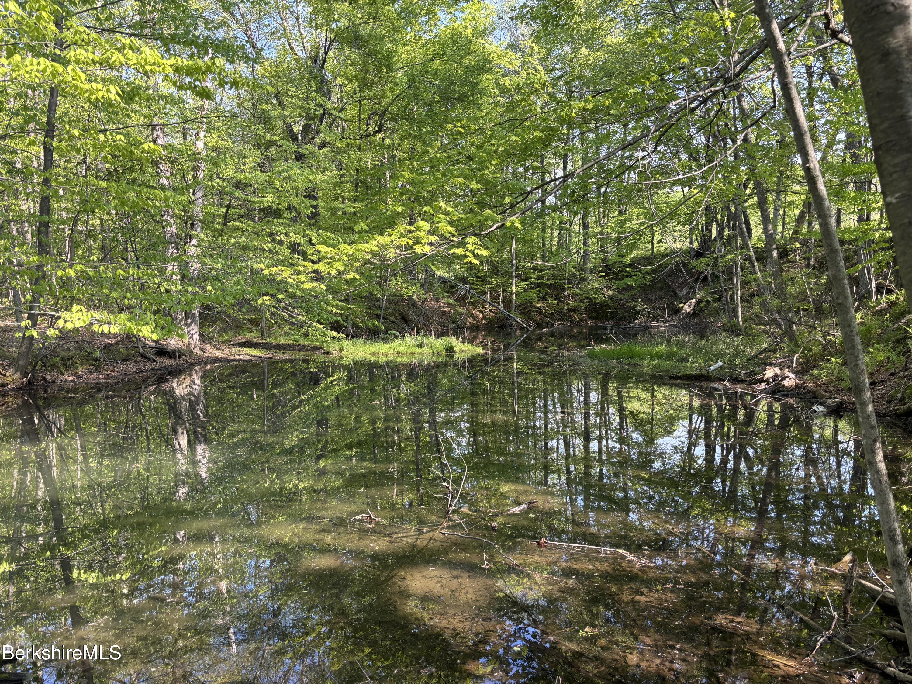 86 Miner Road Lanesborough, MA 01237 - Photo 4 of 44 a view of lake