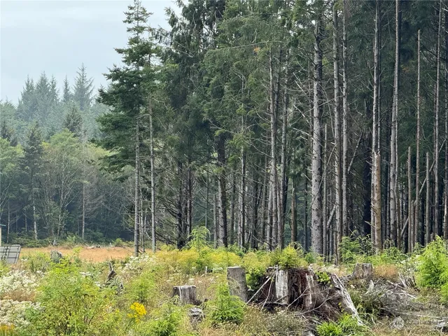 $12,000 | 3936 State Rt 109 Highway, Pacific Beach, WA 98571