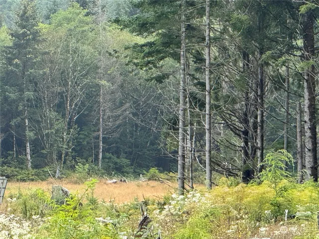 $12,000 | 3936 State Rt 109 Highway, Pacific Beach, WA 98571