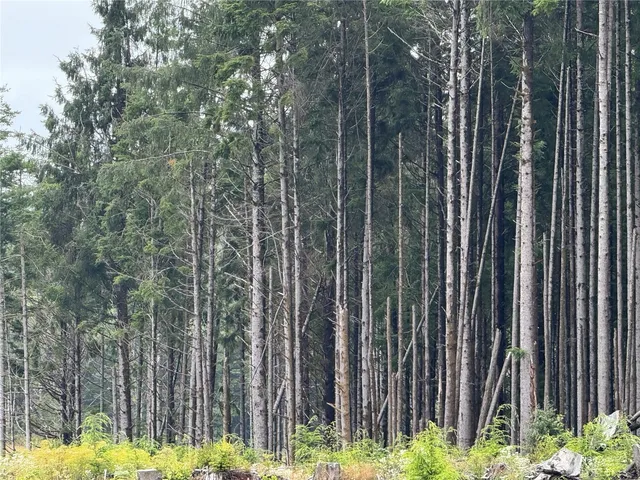 $12,000 | 3936 State Rt 109 Highway, Pacific Beach, WA 98571