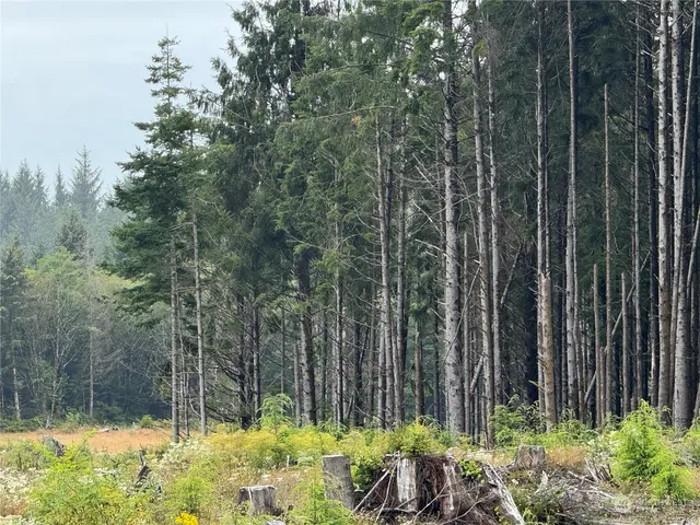 $12,000 | 3936 State Rt 109 Highway, Pacific Beach, WA 98571