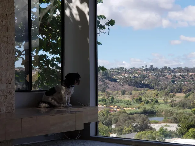 a view of a balcony with chairs