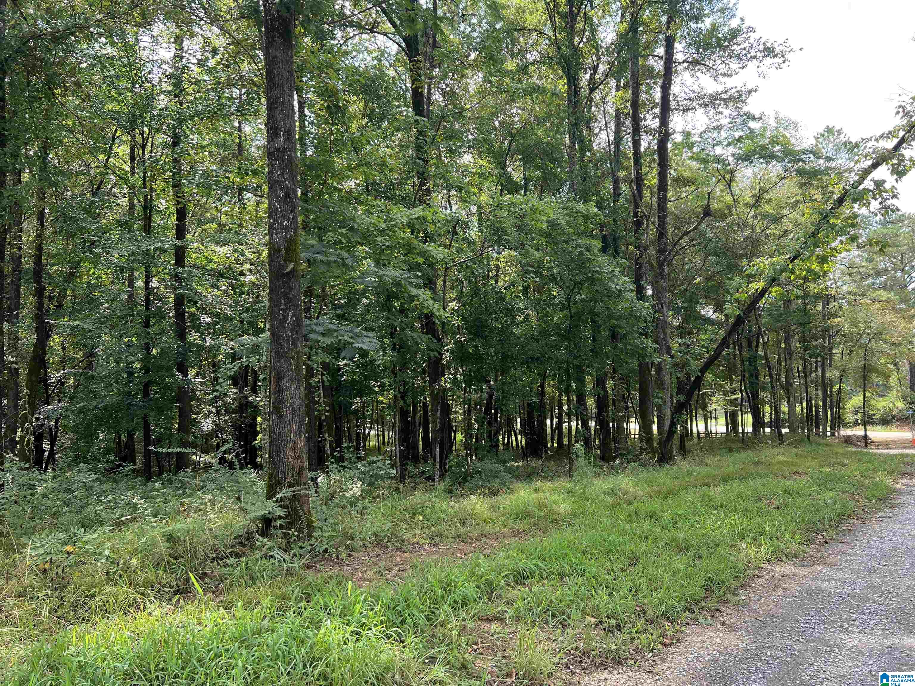 58 Rustic Oaks Drive Sterrett, AL 35147 - Photo 24 of 30