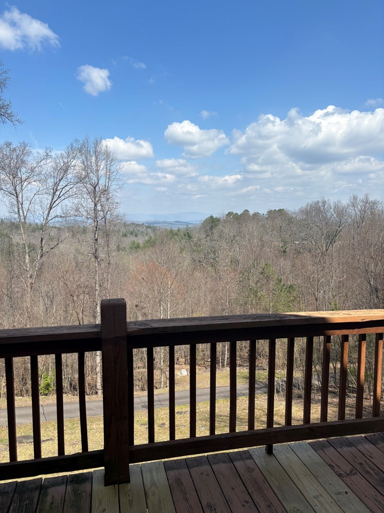 380 Buck Ridge Drive Murphy, NC 28906 - Photo 16 of 16