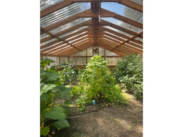 a picture of a plant