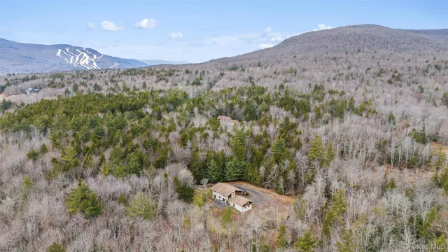 a view of a town with mountains in the background