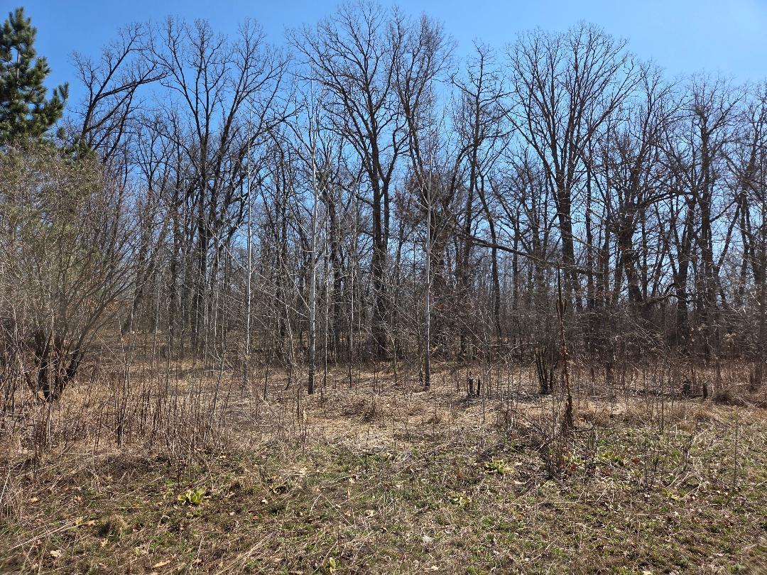 51948 River Road Rush City, MN 55069 - Photo 11 of 15