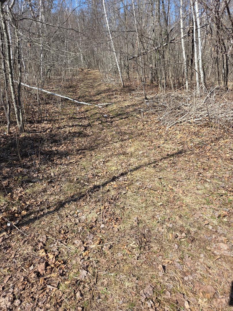 51948 River Road Rush City, MN 55069 - Photo 12 of 15