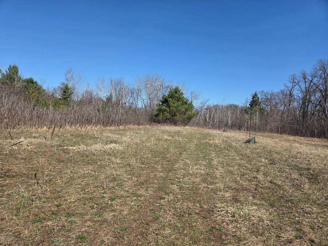 51948 River Road Rush City, MN 55069 - Photo 13 of 15